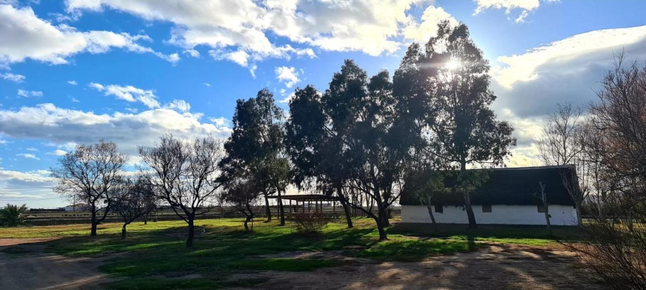 Alojamiento Lo Trabucador El Poble Nou del Delta Buitenkant foto